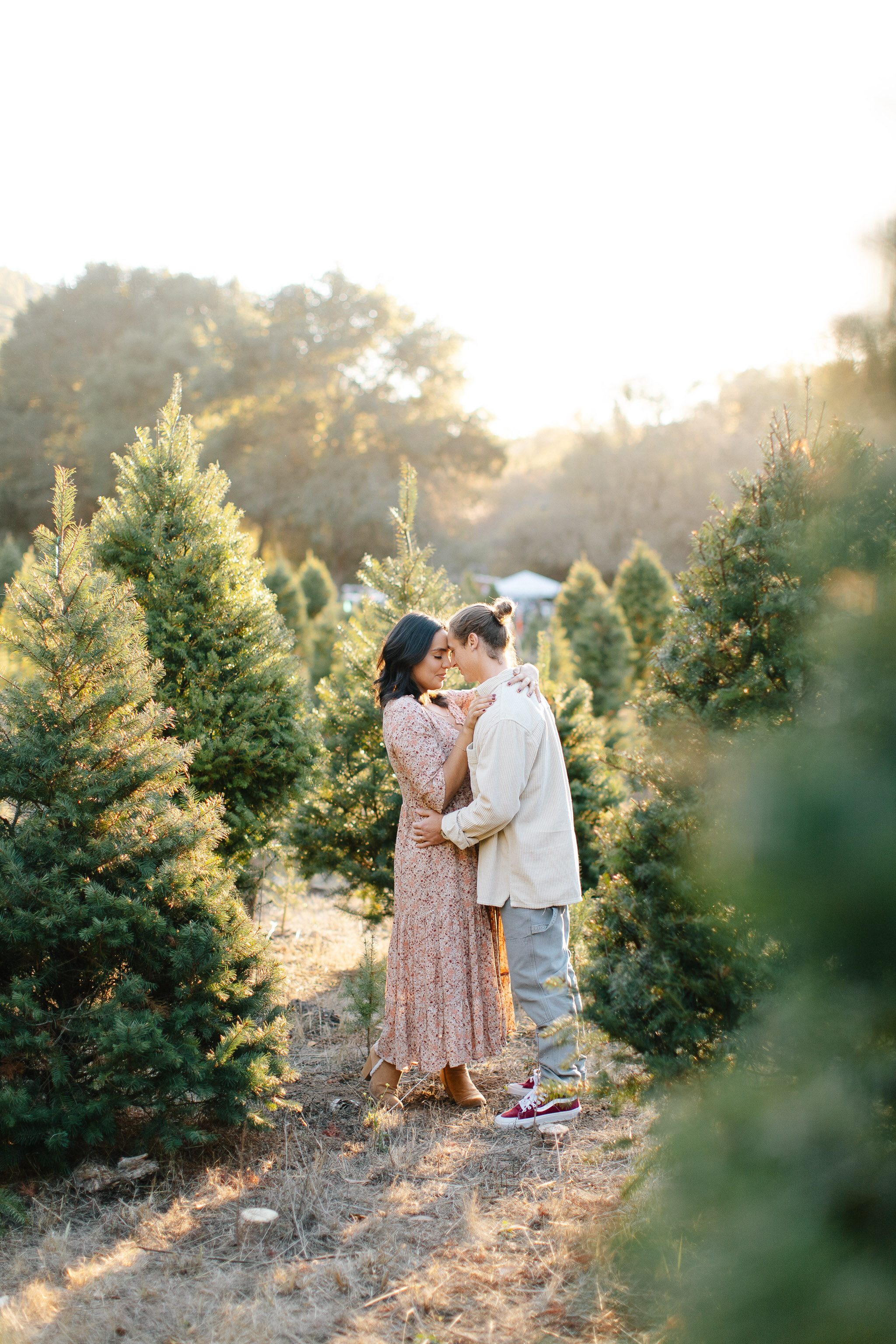 christmas-tree-farm-maternity-4.jpg