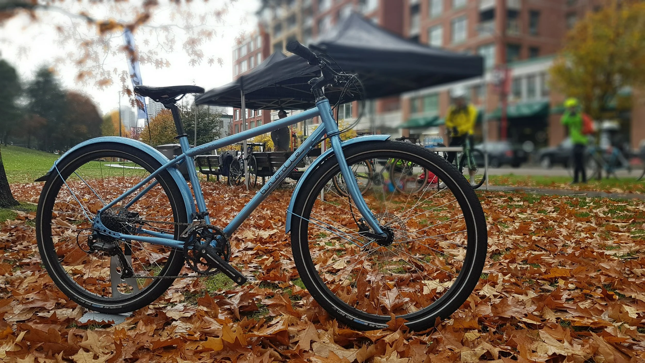 Robson in Park.jpg