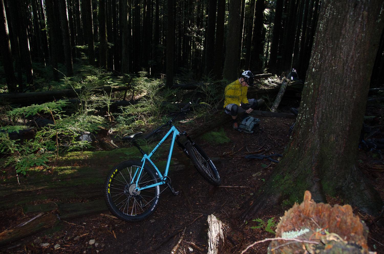 DSC_0474.jpg
