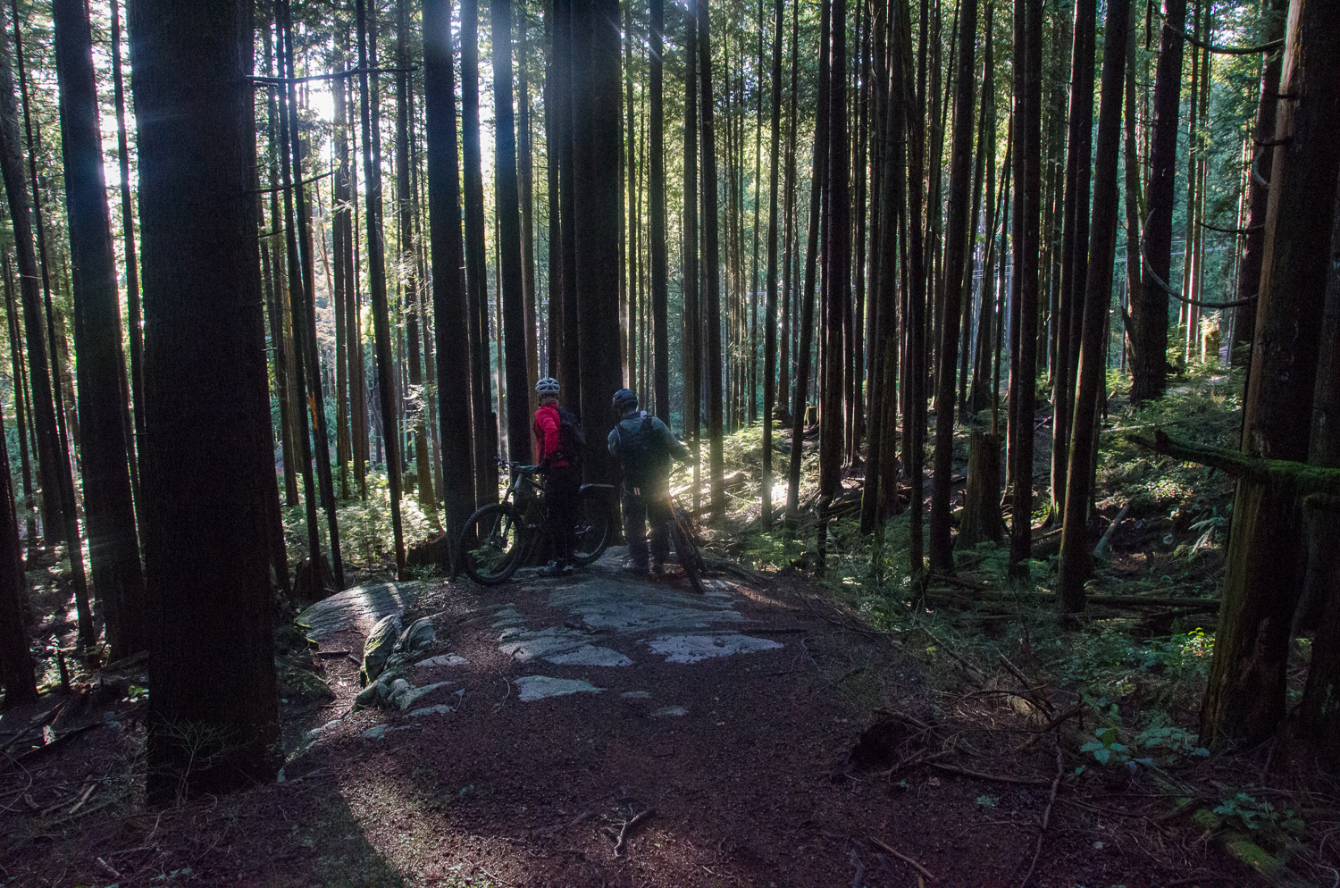 DSC_0567.jpg