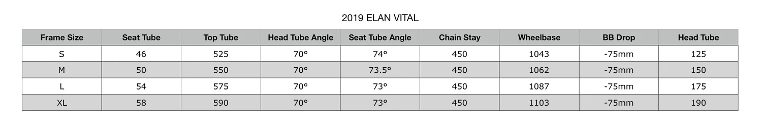 2019 Elan Vital Geometry.jpg
