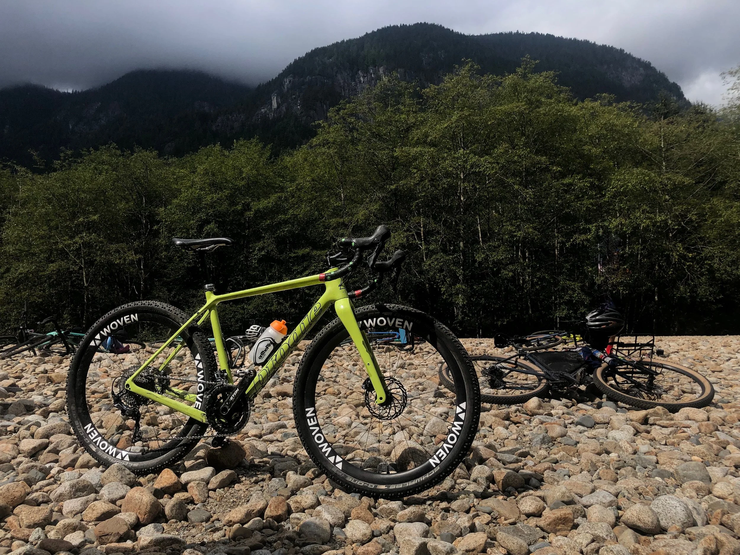 Following Friends: Old Growth Trail - by, @ridegradient