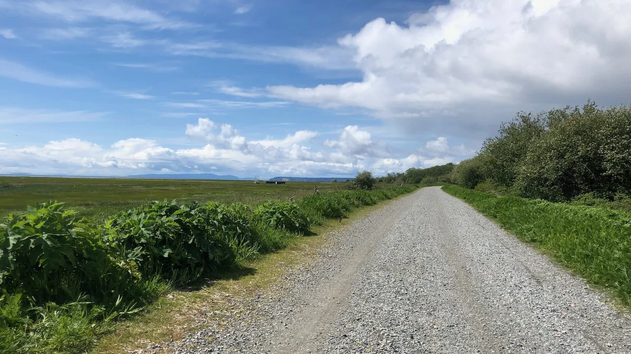 In search of gravel, mud &amp; fitness