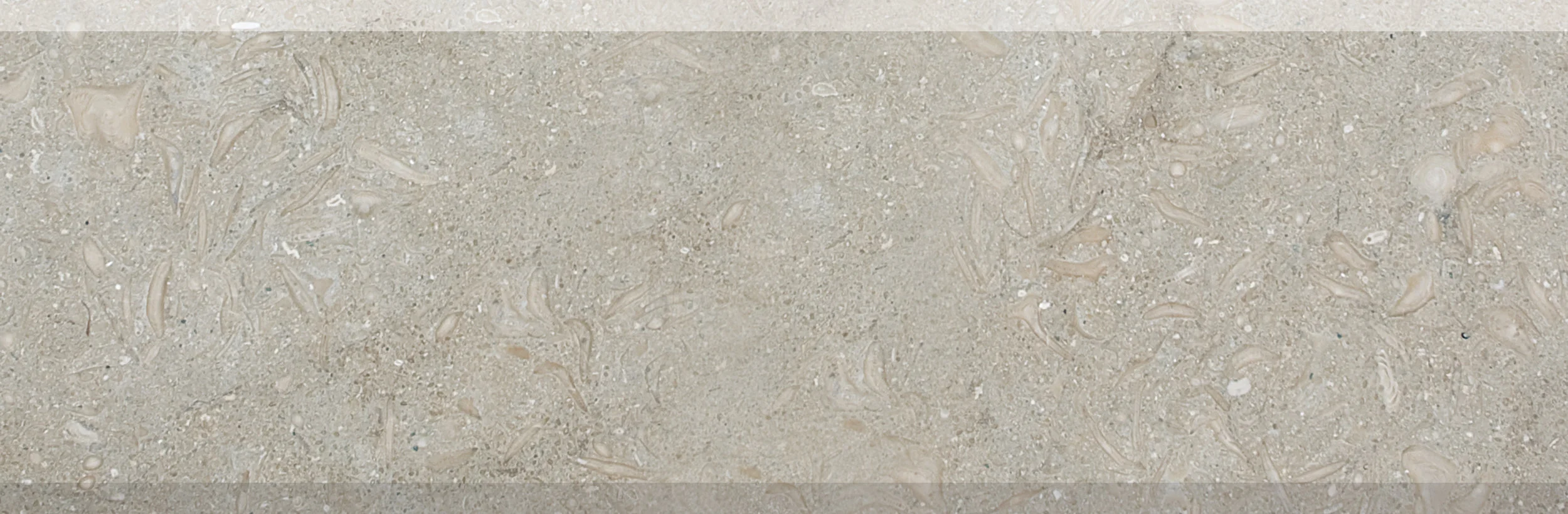 SP00876 olive green honed threshold 2 side bevelled 4”x36”x3/4”