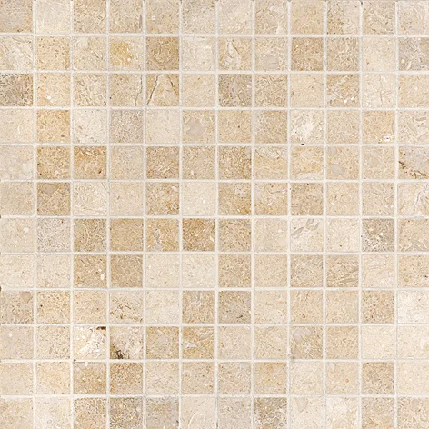 MS00712 seashell honed 1”x1” 12”x12”x3/8” sheets