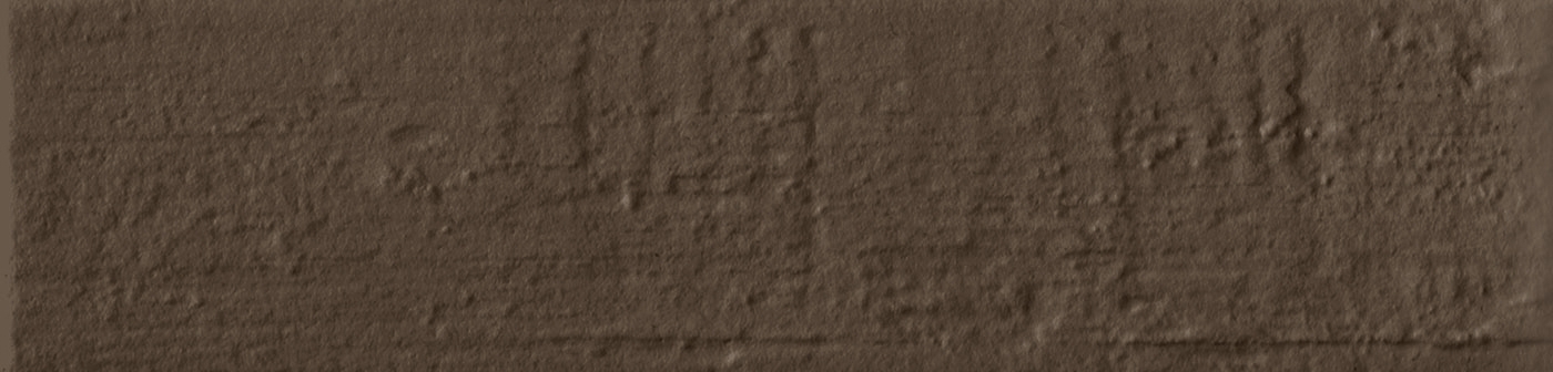 2.5" x 10"