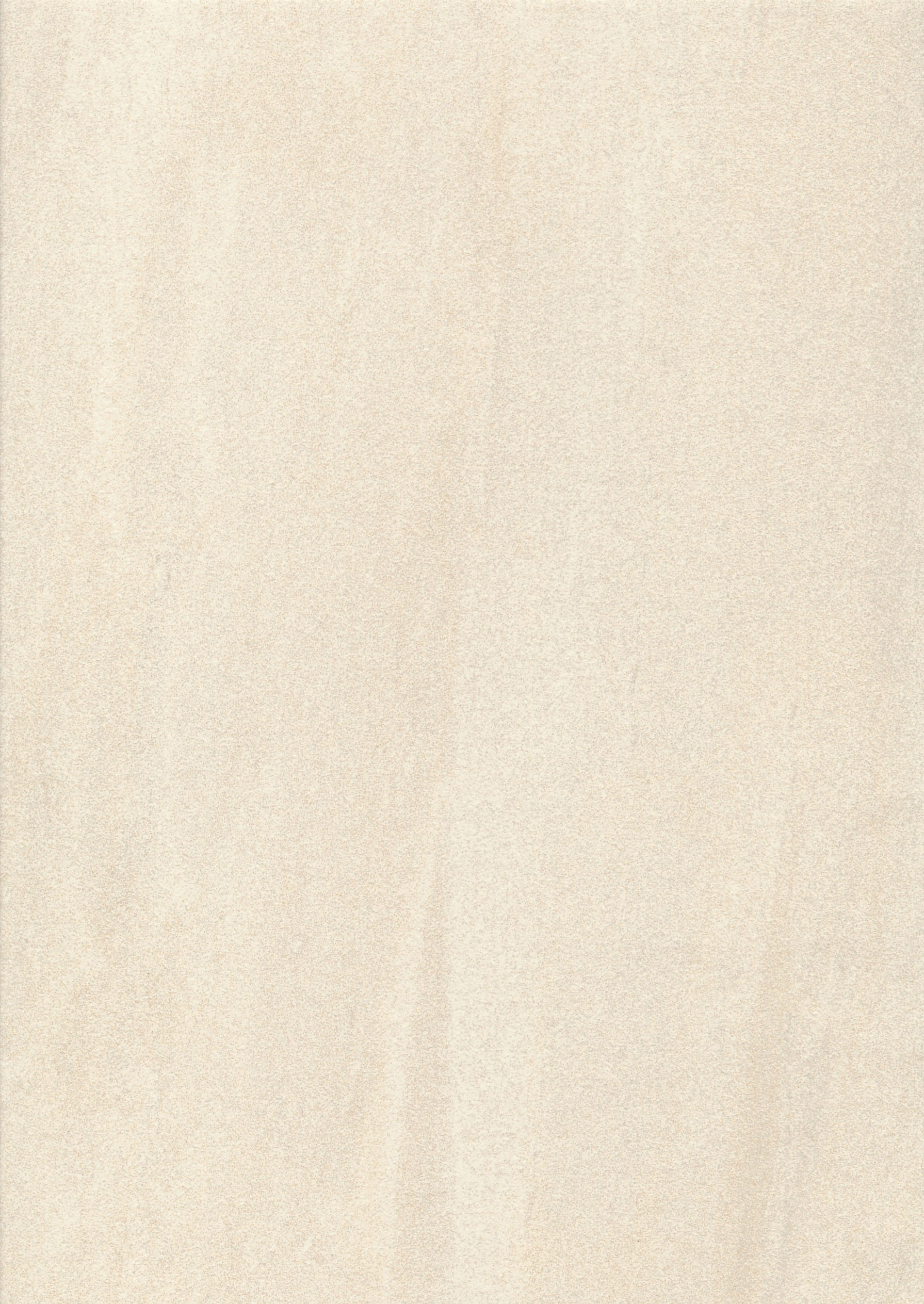 18" x 36" Lappato Finish Field Tile