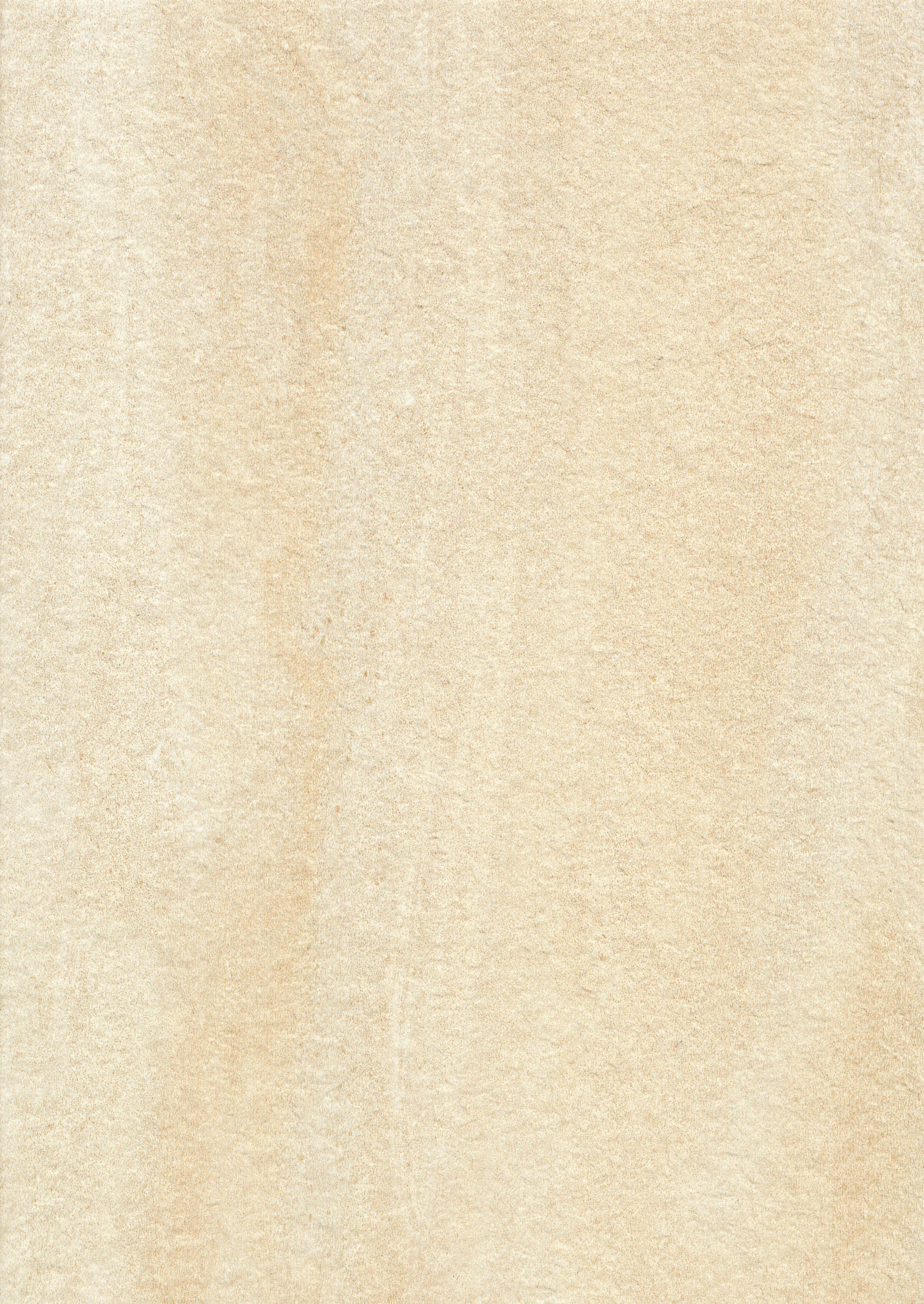 18" x 36" Bocciardato Field Tile