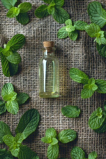 Peppermint extract