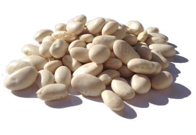 Great northern beans organic