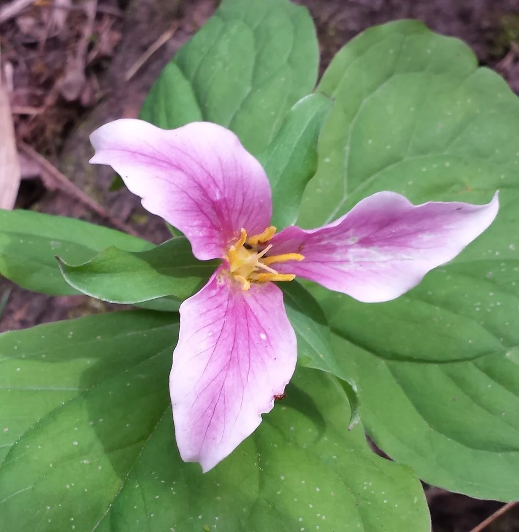20150320_133947.jpg
