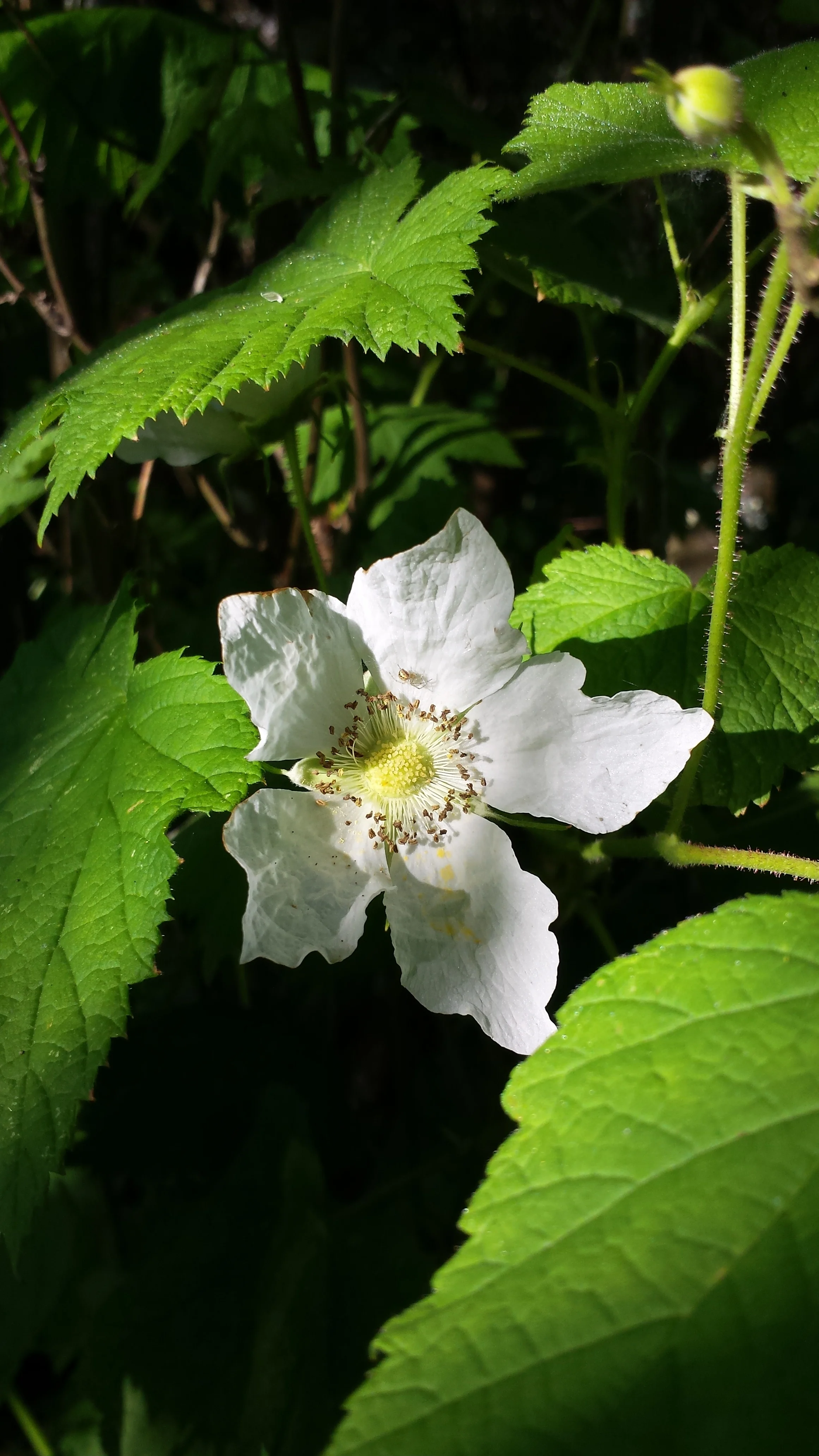 20150427_171646.jpg