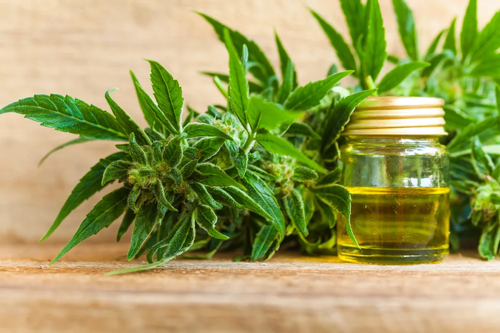 cbd_for_arthritis.jpg