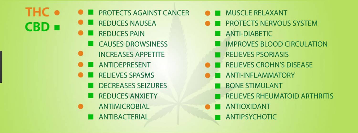 cbd-vs-thc.jpg