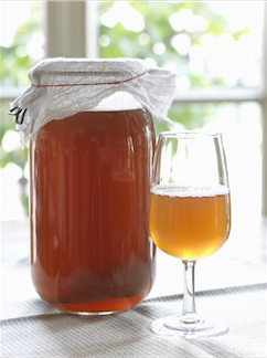 VG_Kombucha-with-glass-small.png