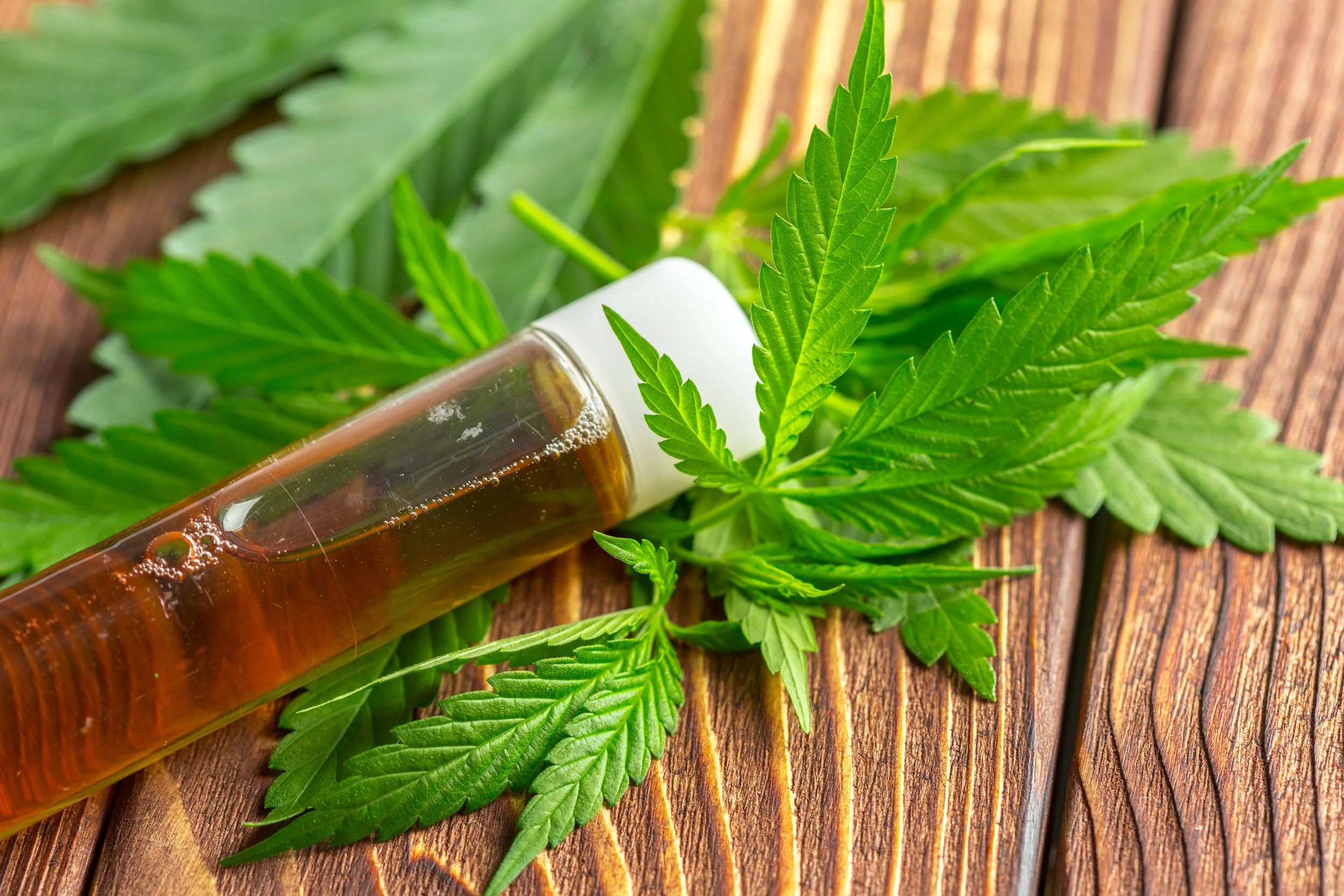 yes, it looks like its cousin, but hemp is NOT the same as marijuana...!