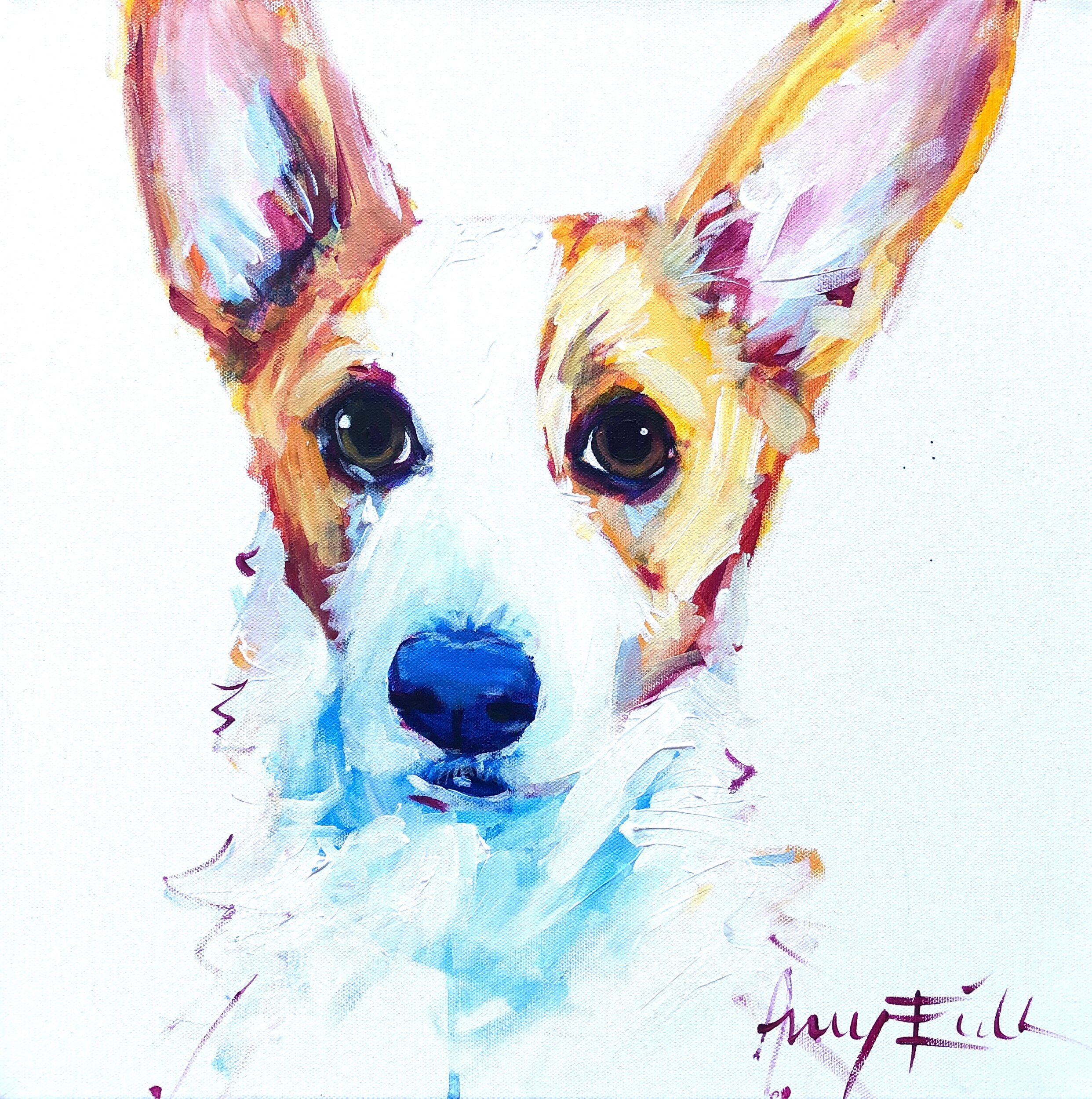 Corgi