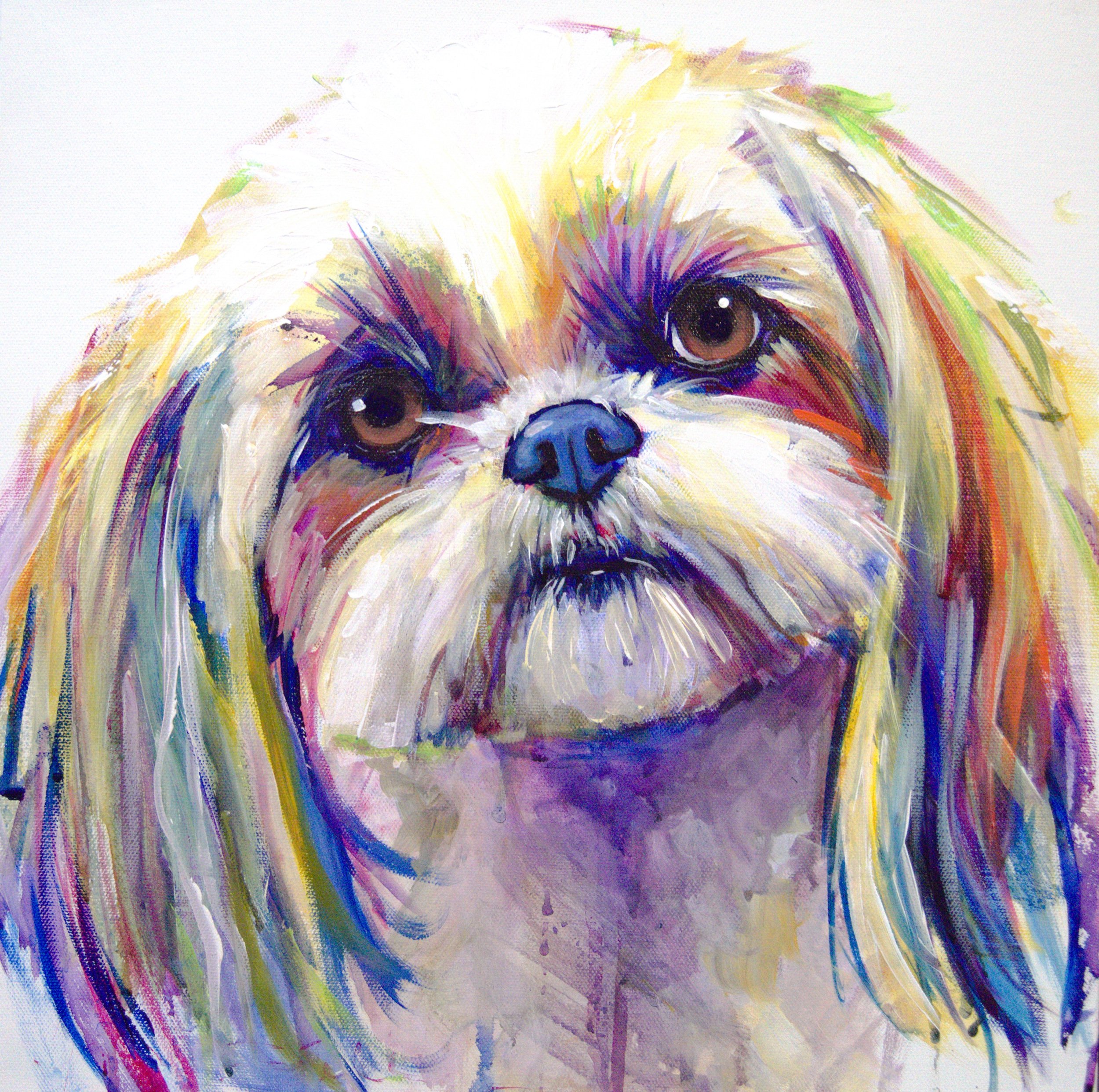 Eichler_Amy_Shih Tzu.jpeg