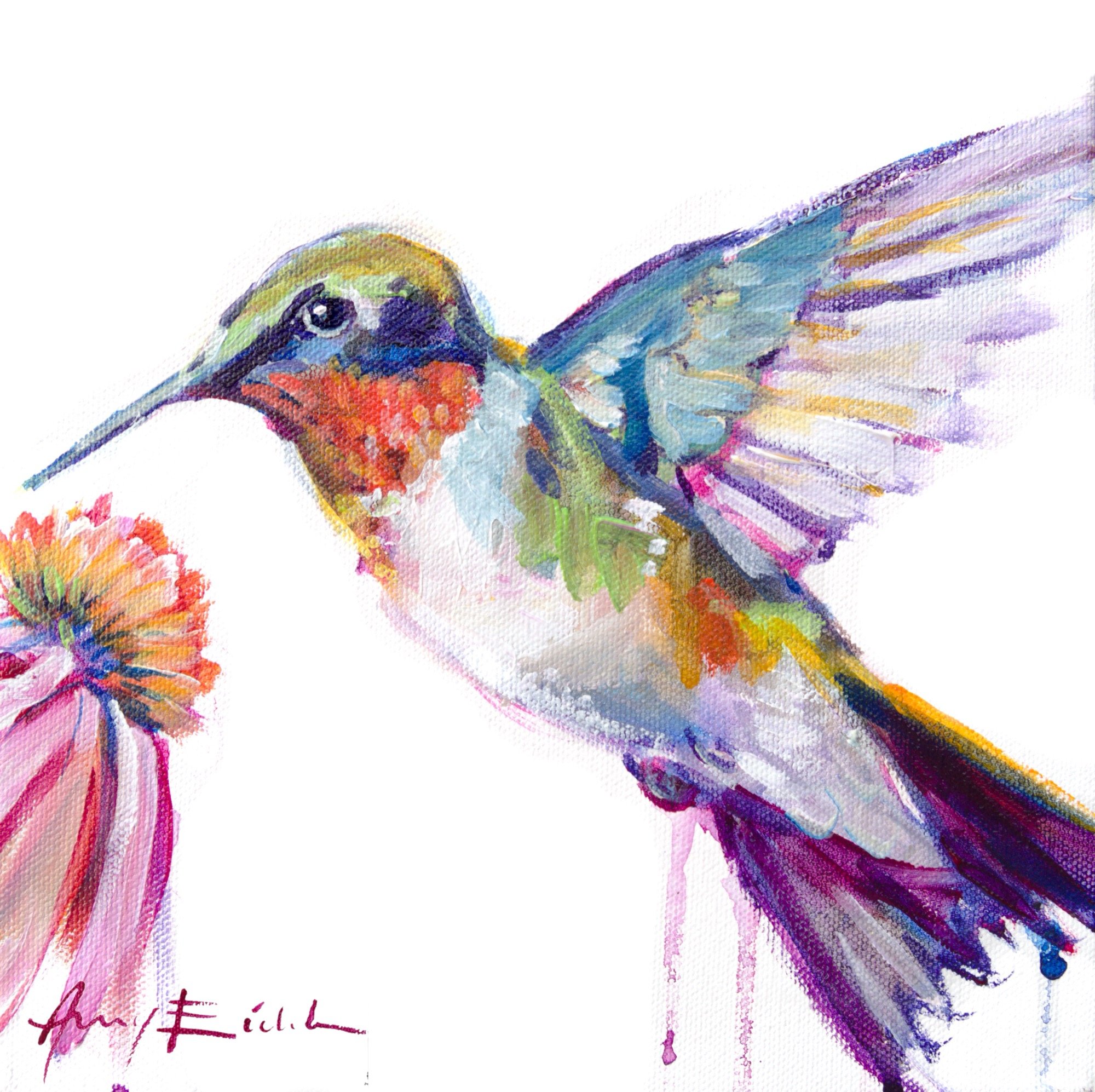 Hummingbird 2