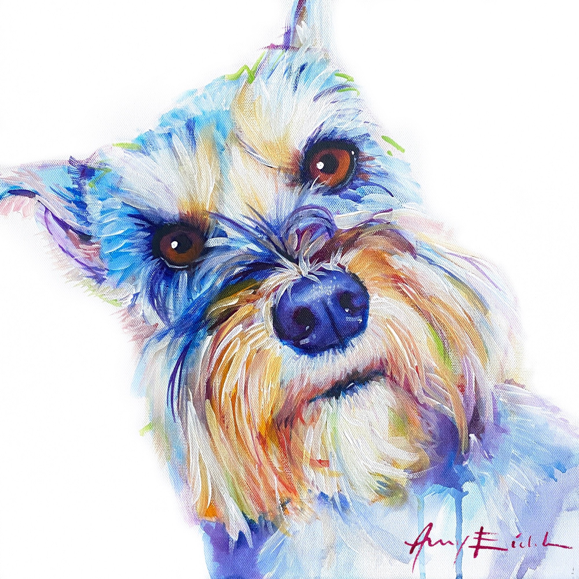 Schnauzer