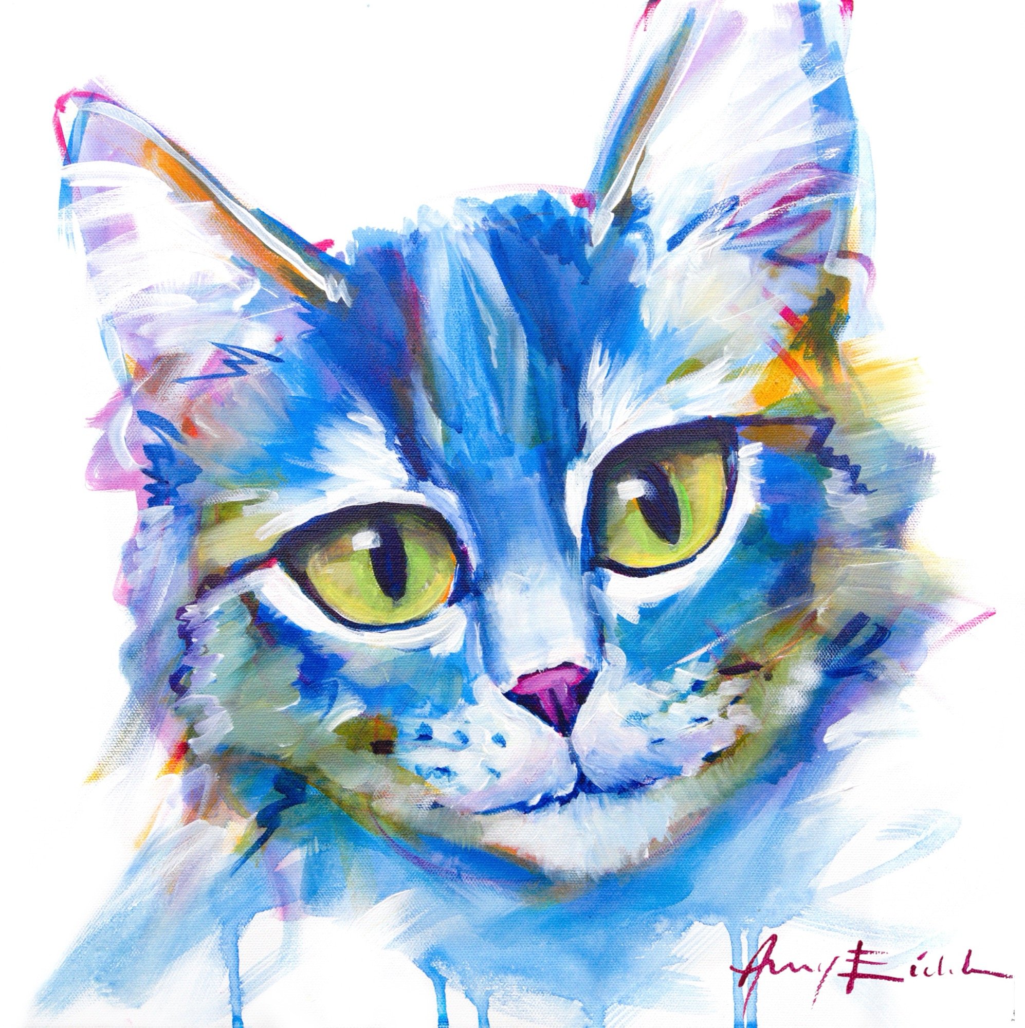 Silver Tabby