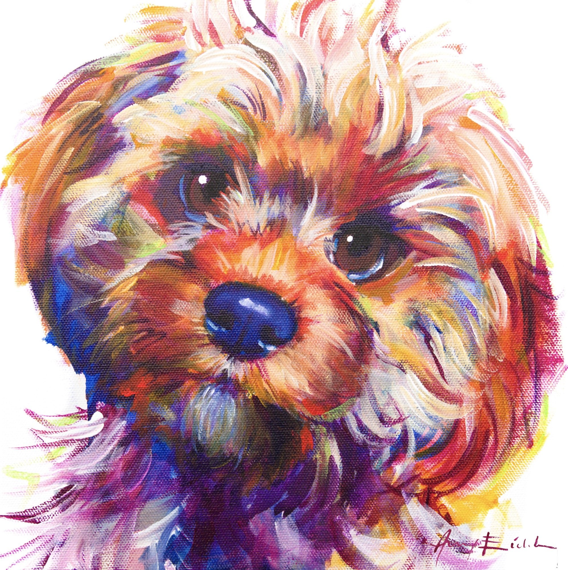 Cavapoo