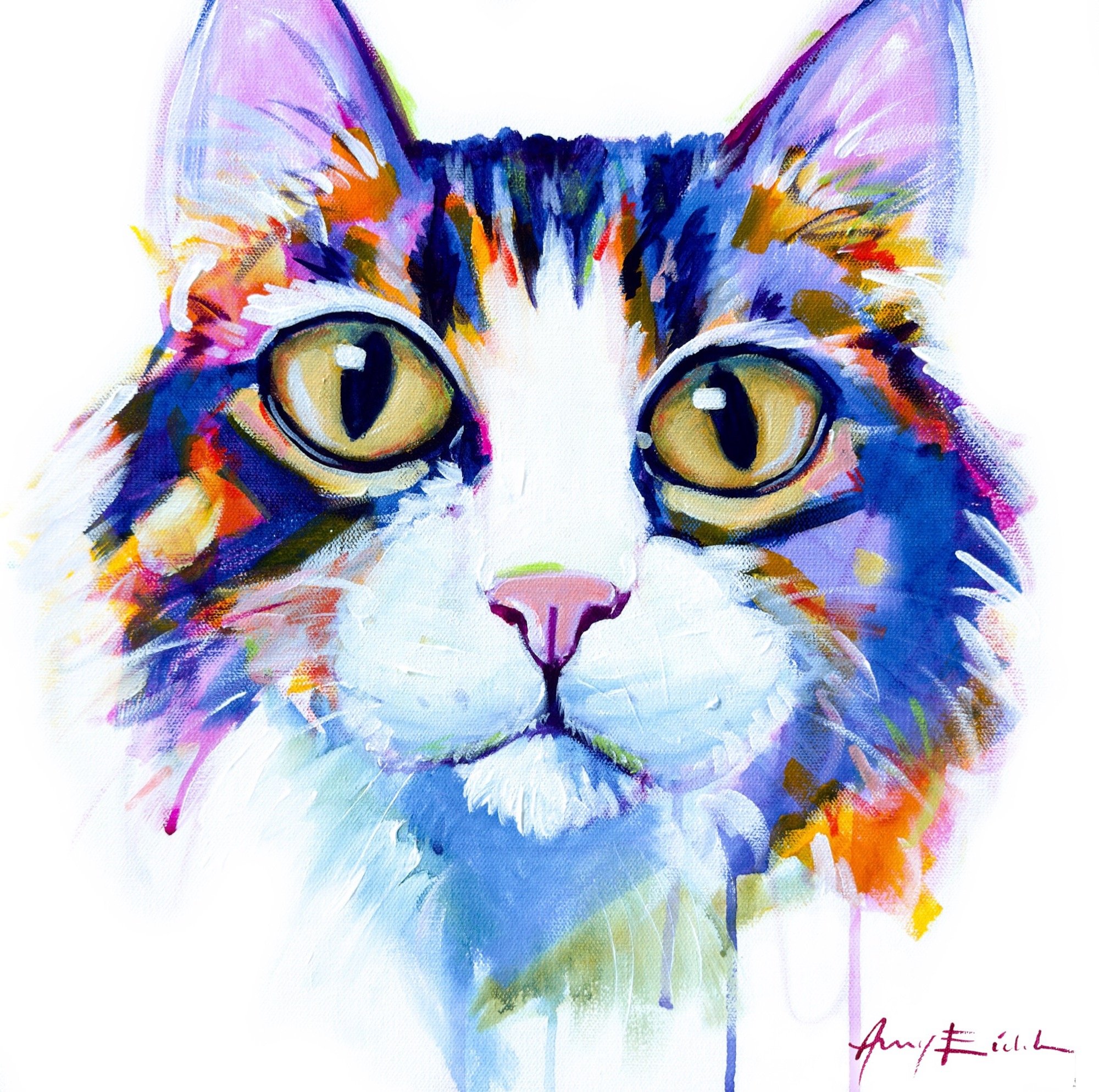 Calico Cat