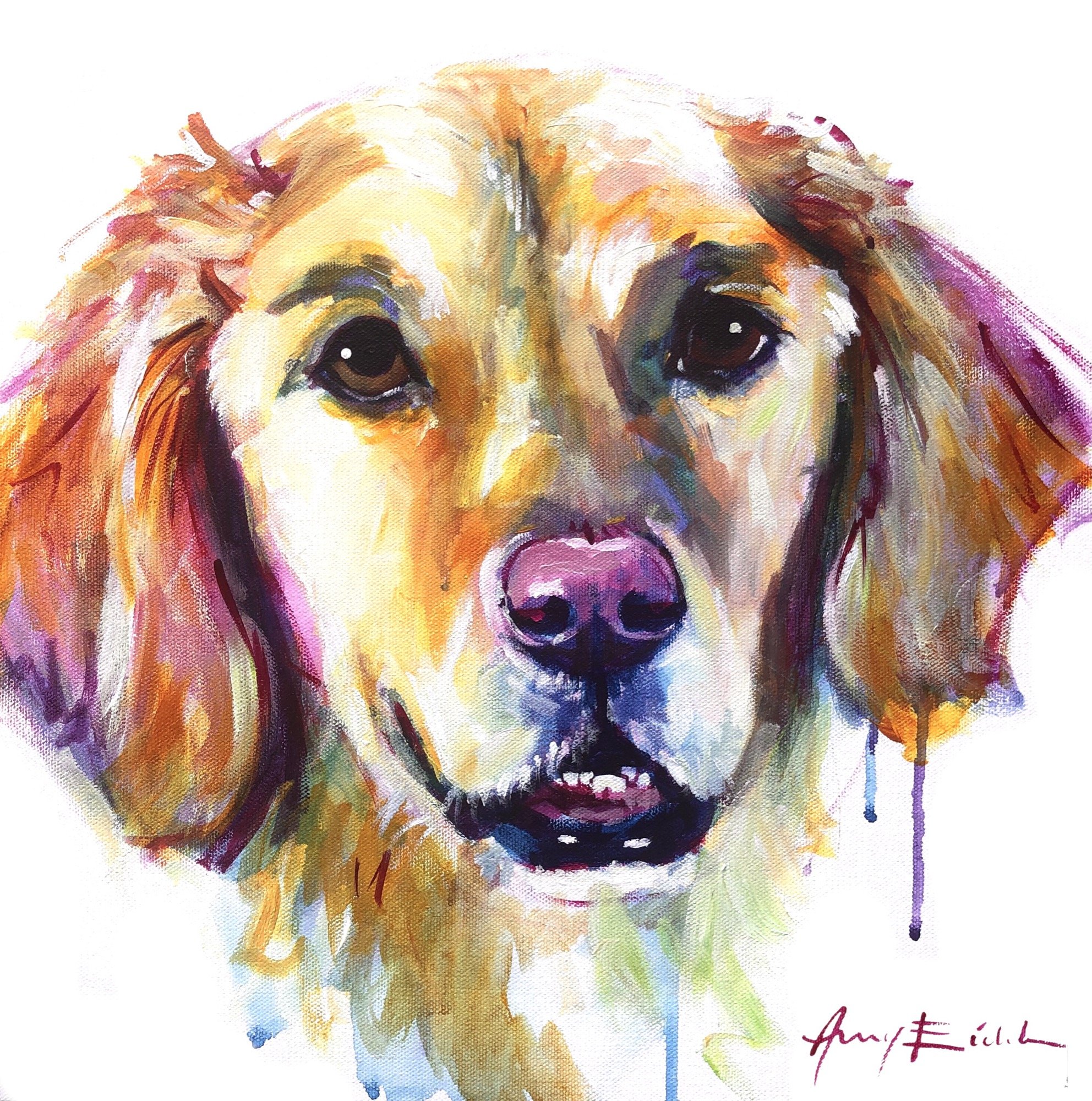 Golden Retriever