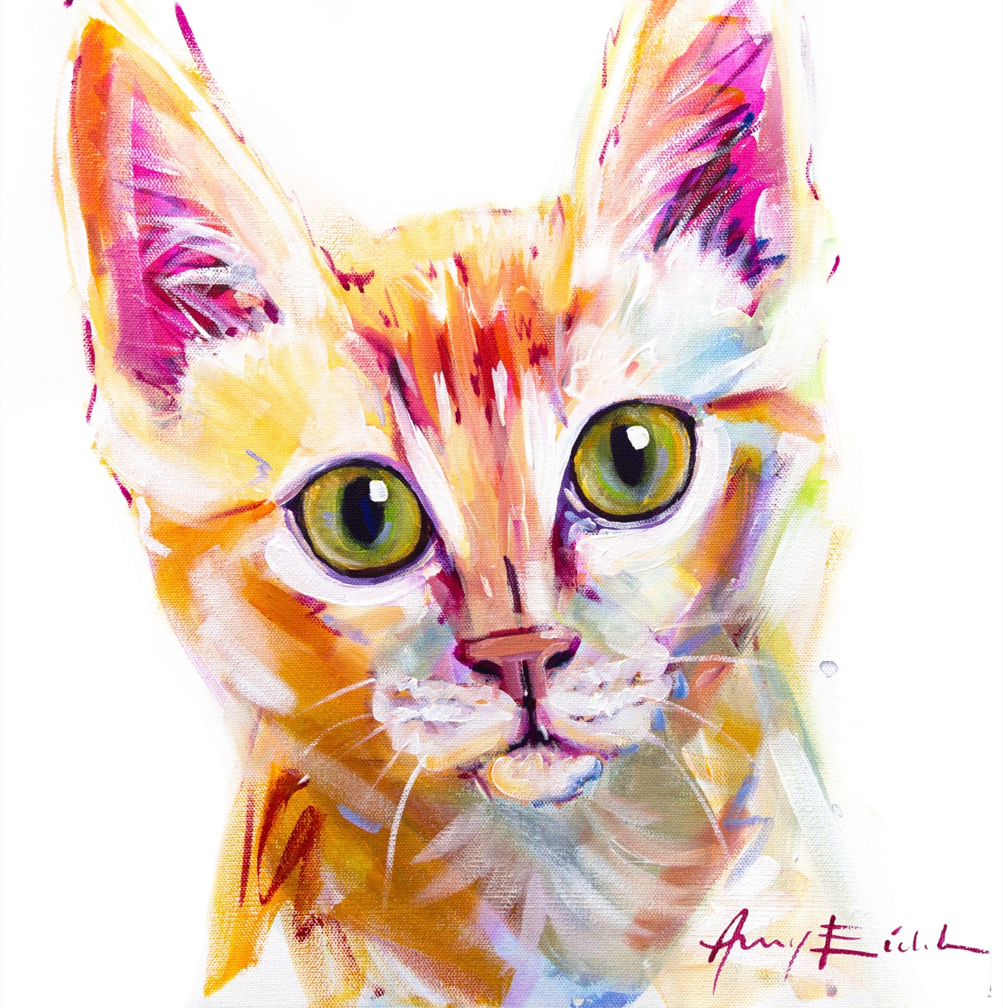 Orange Tabby