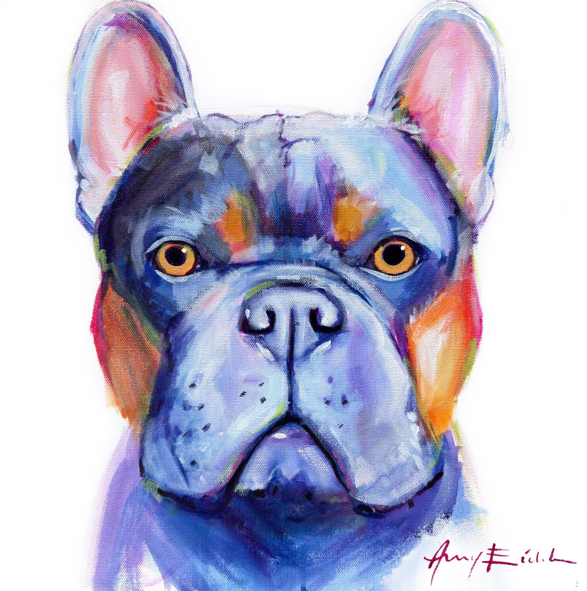 French Bulldog 3