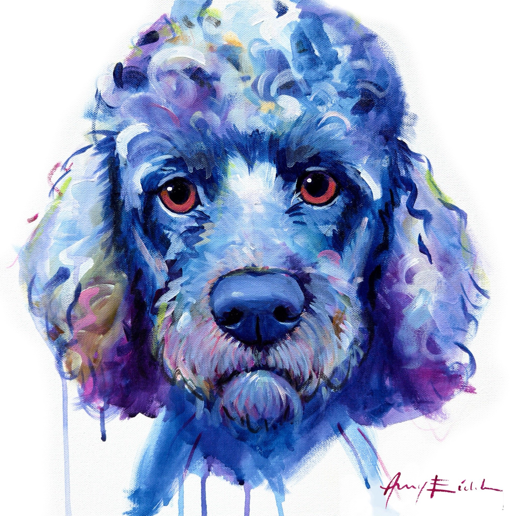 Labradoodle