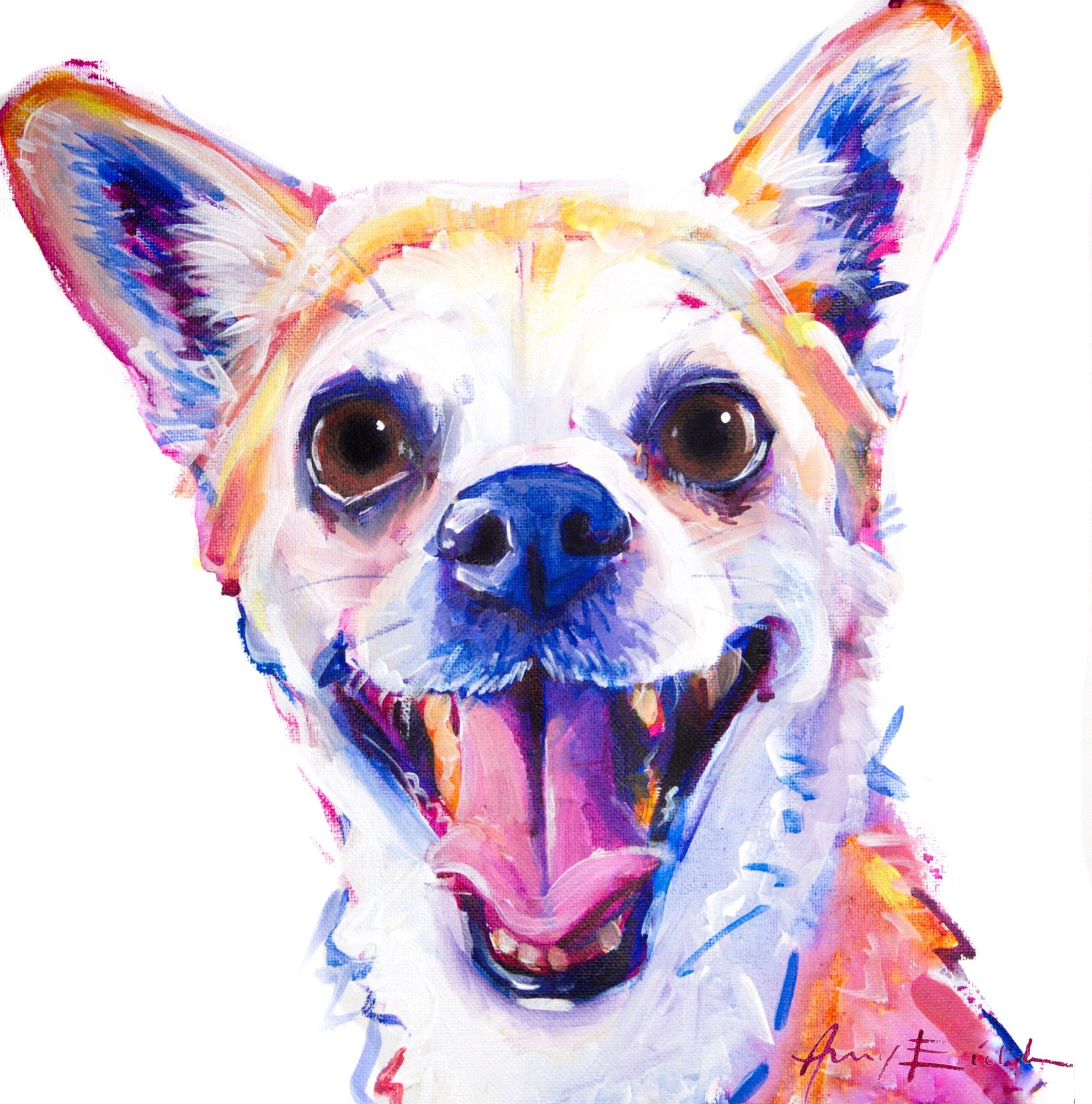 Chihuahua