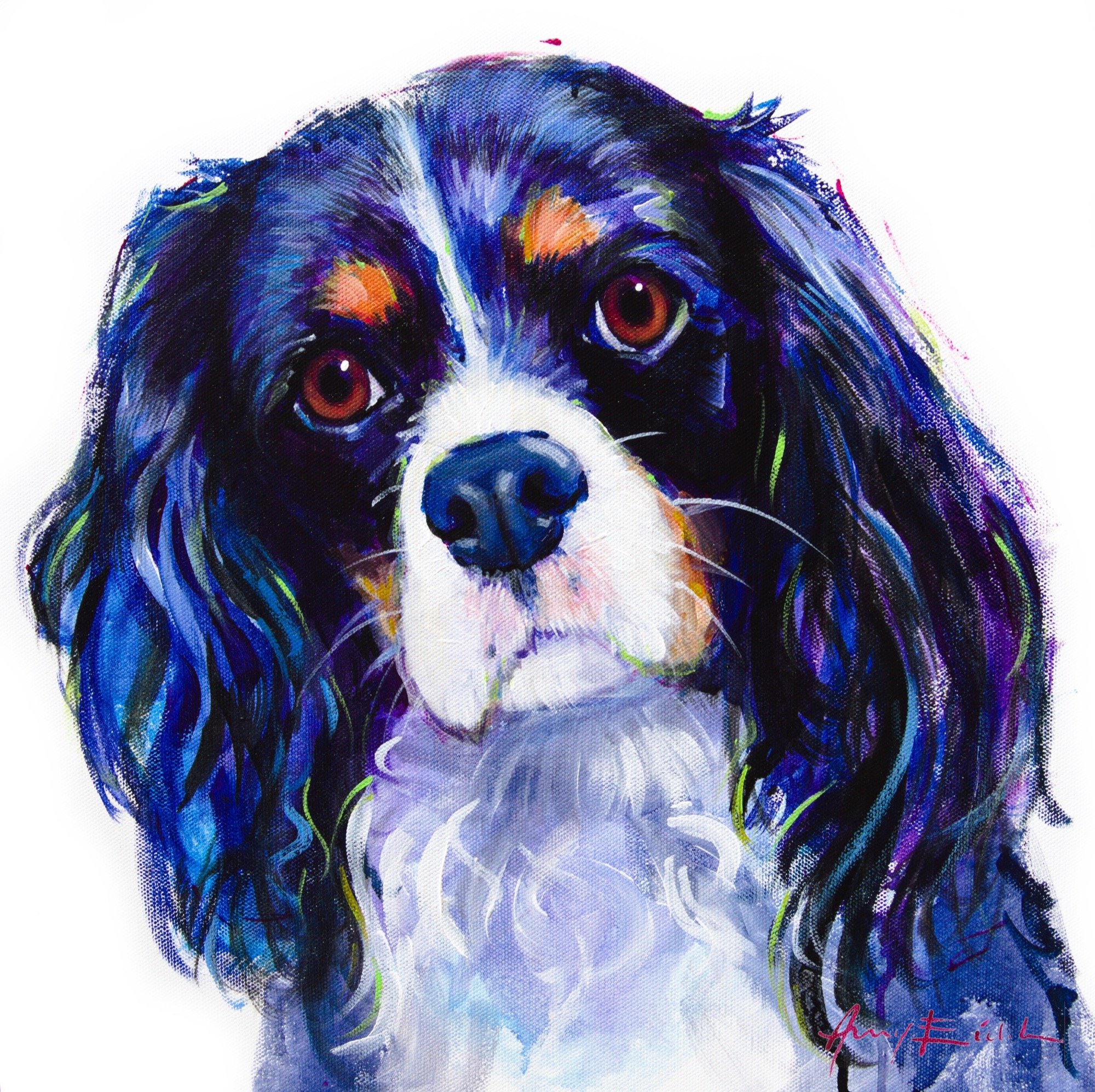 Cavalier King Charles Spaniel (tri-color)