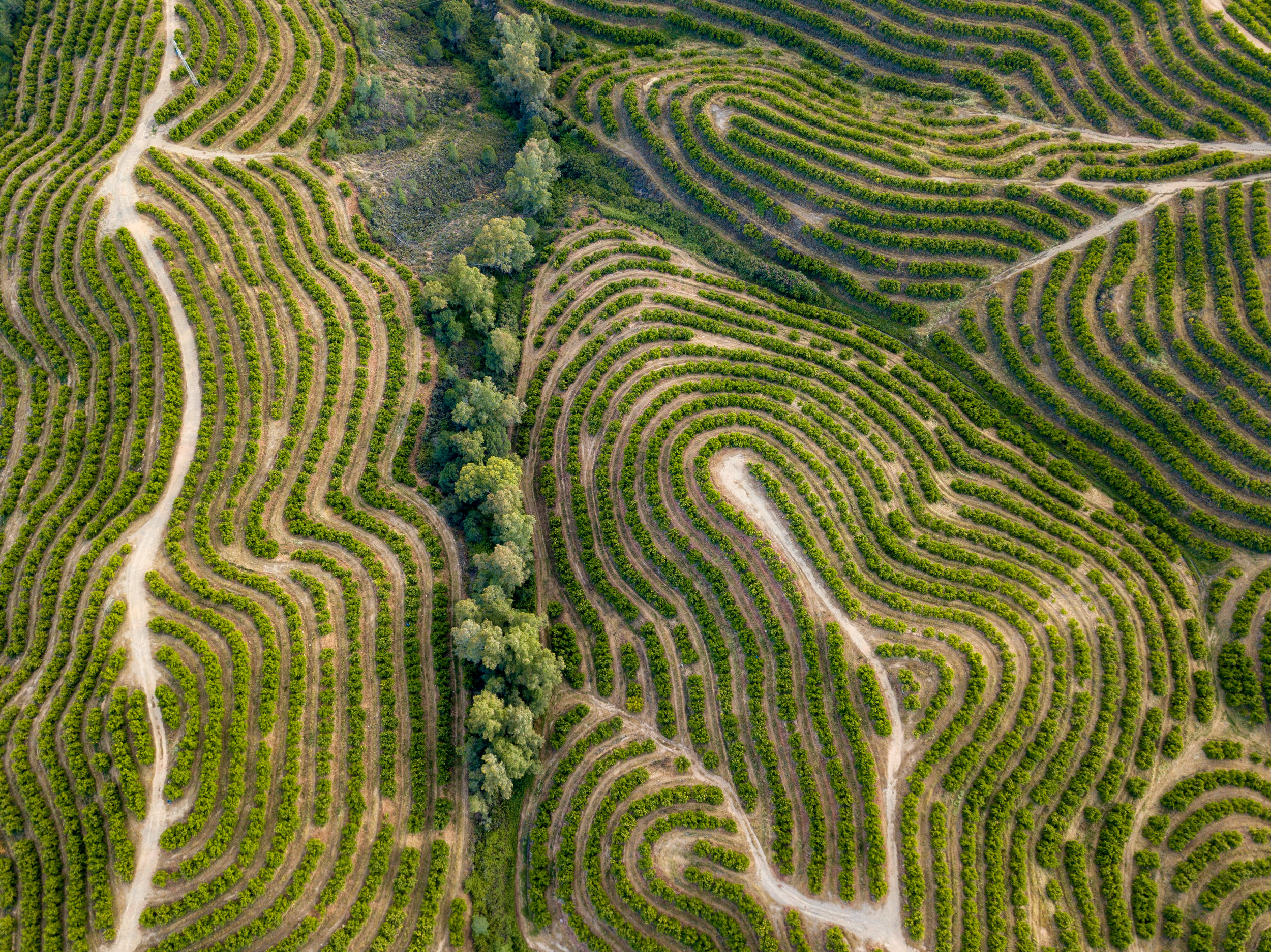 DJI_0448.jpg