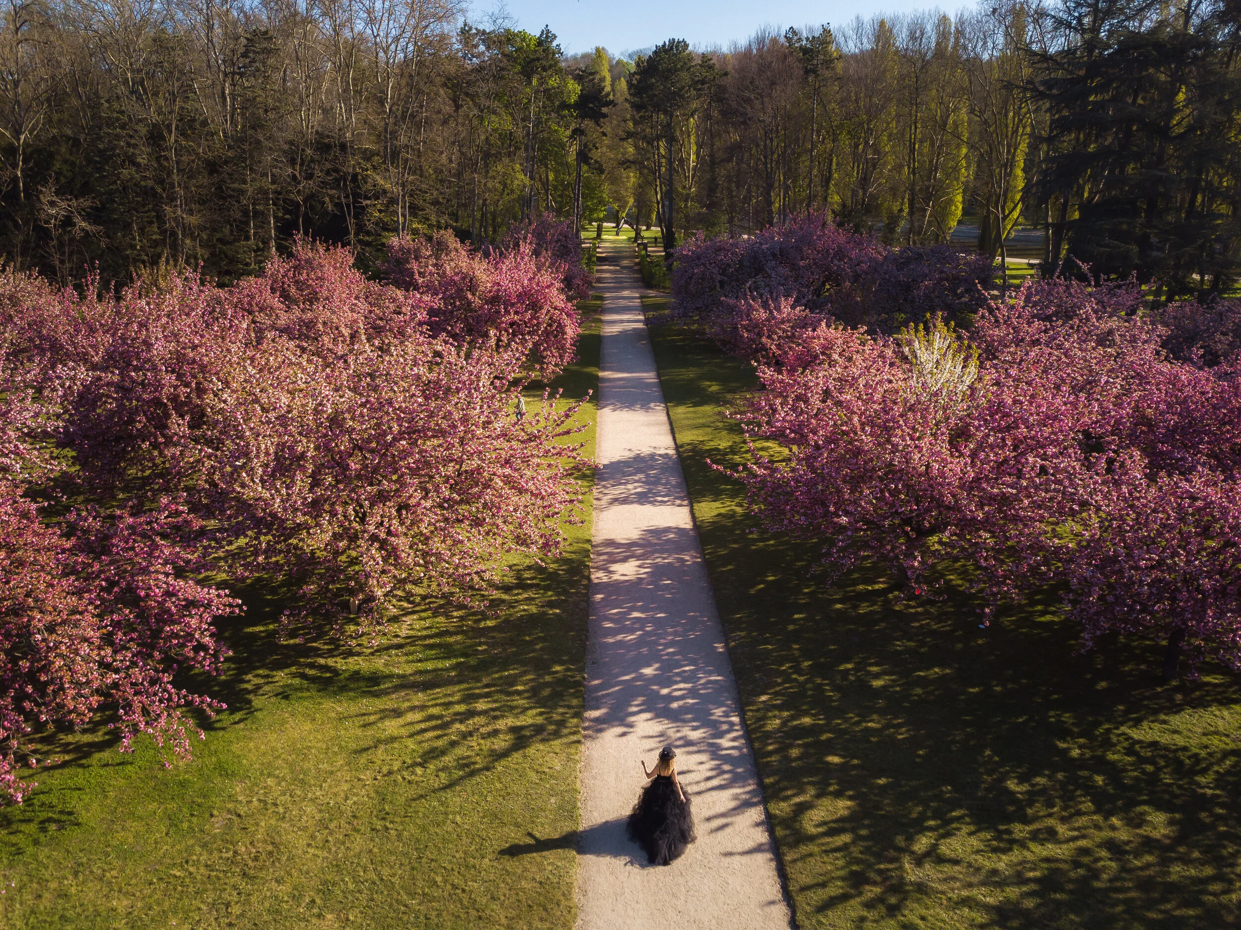DJI_0089.jpg