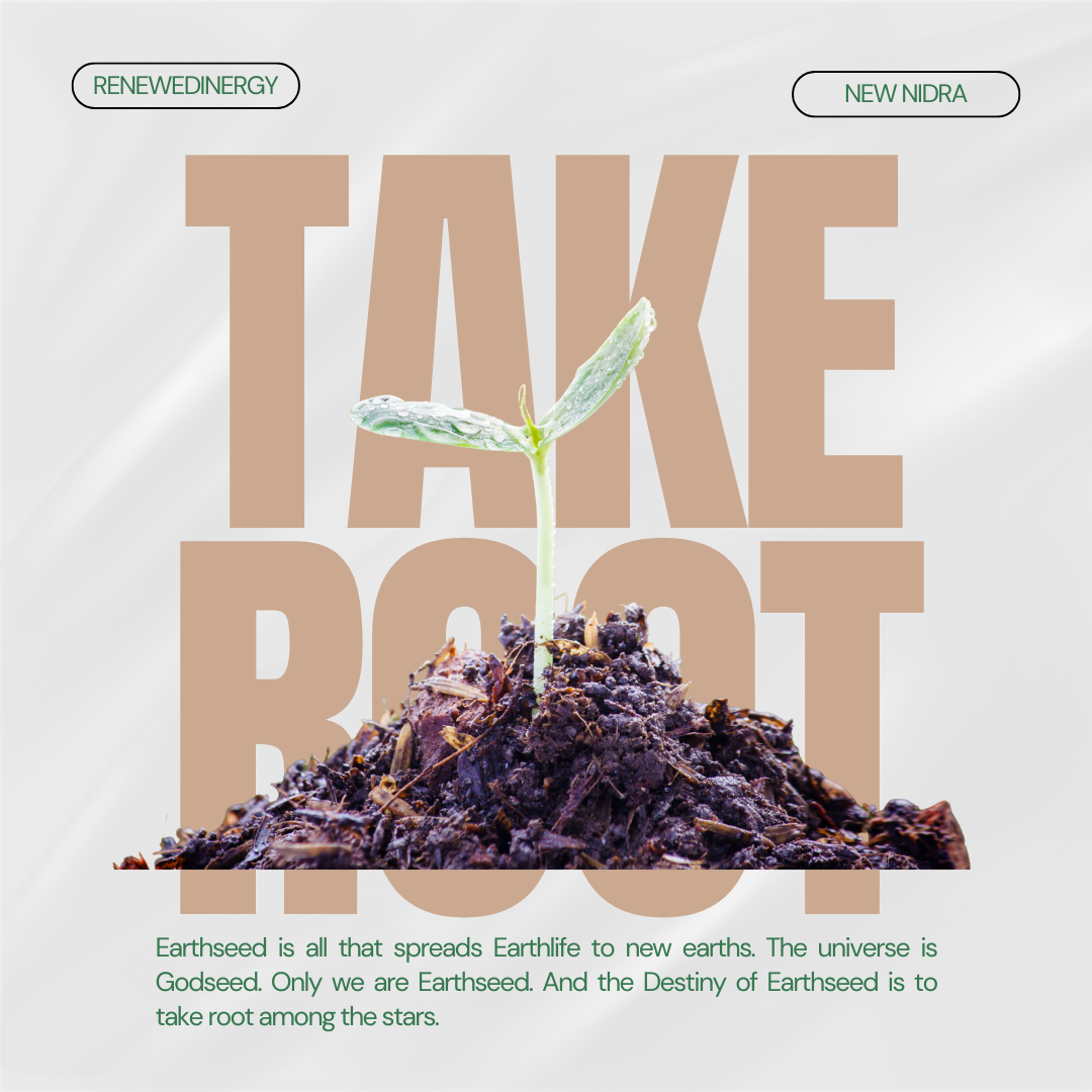 take root.png
