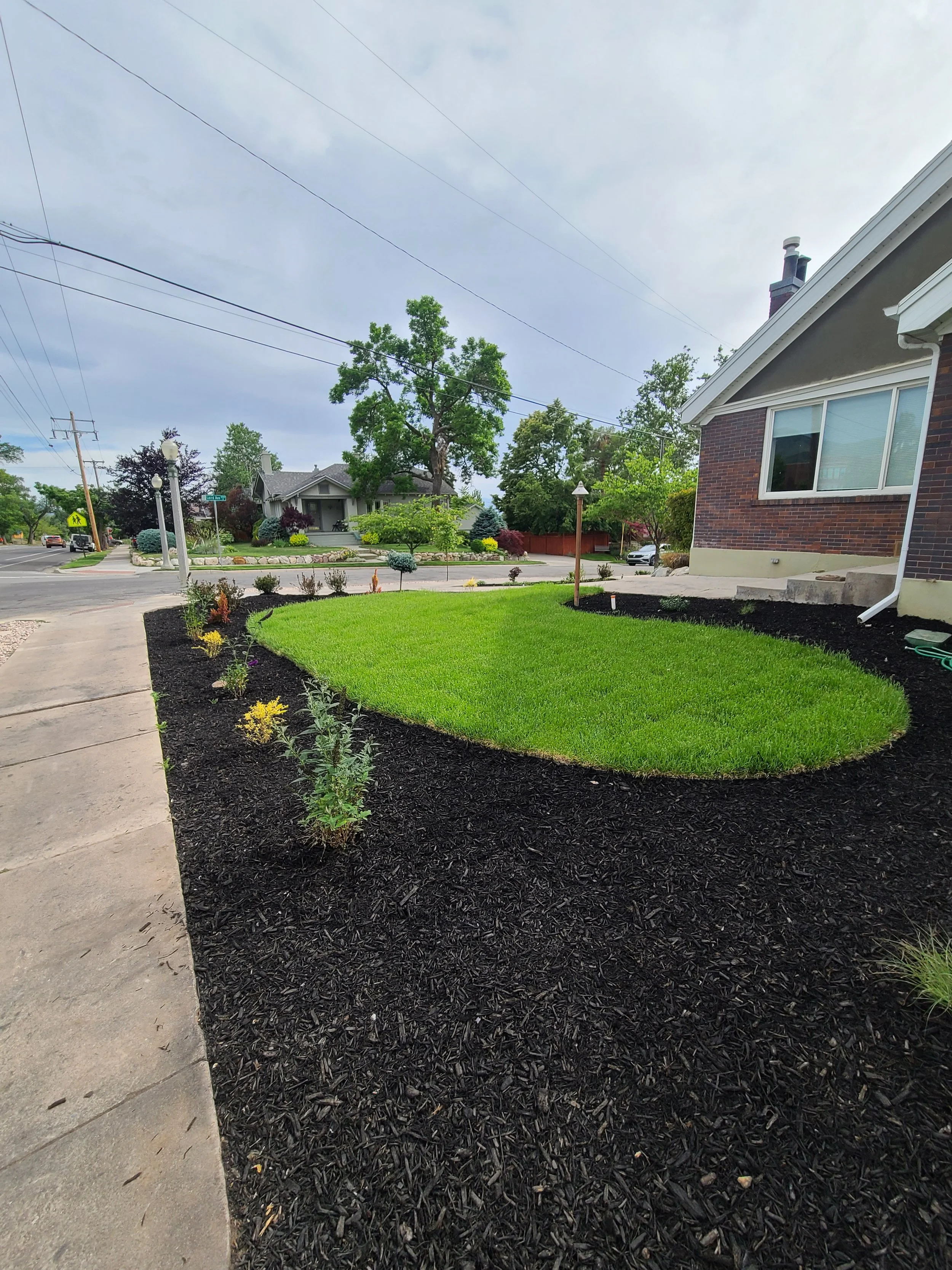 20220608_172119[1].jpg