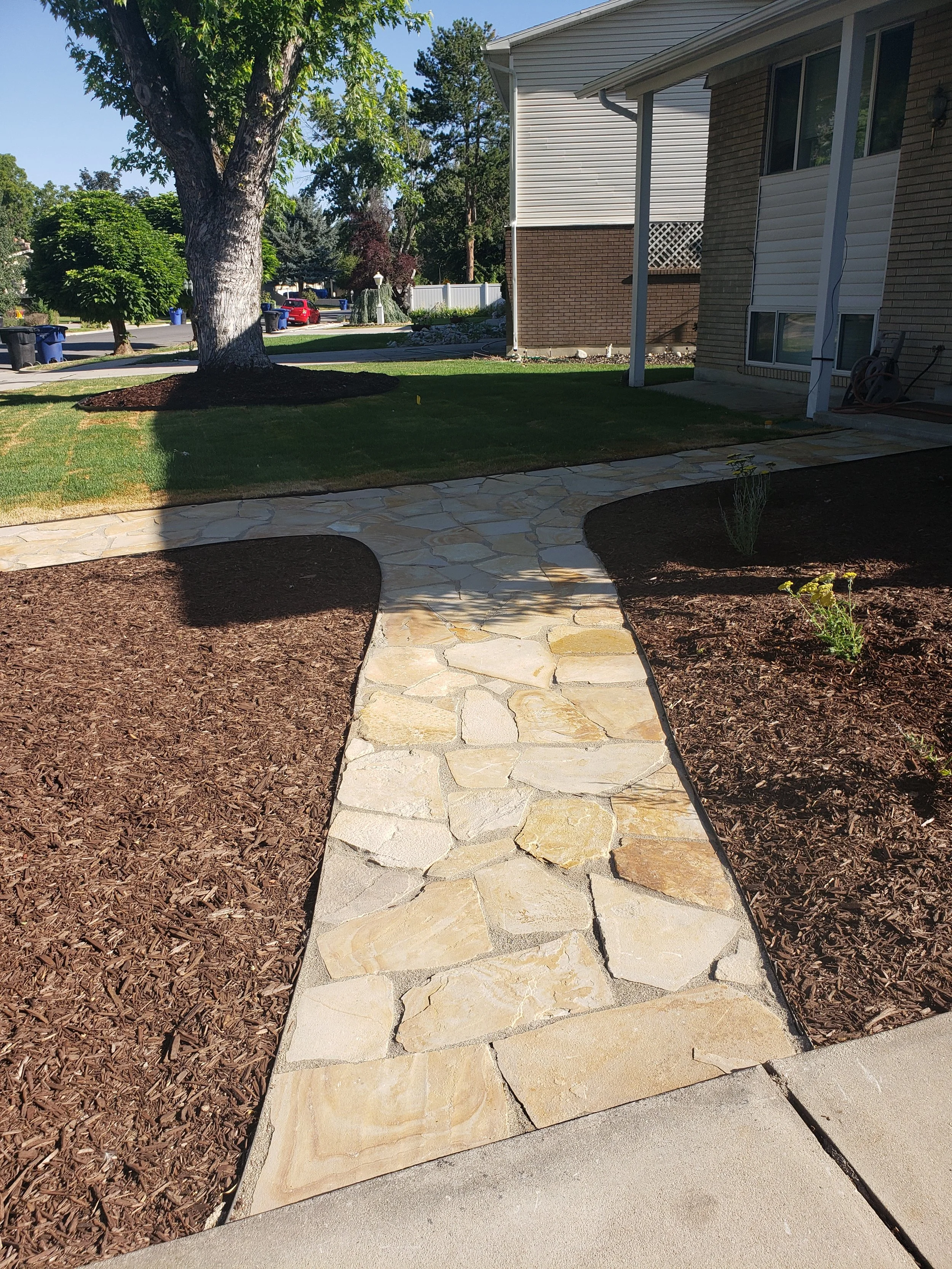 20190730_090244[1].jpg