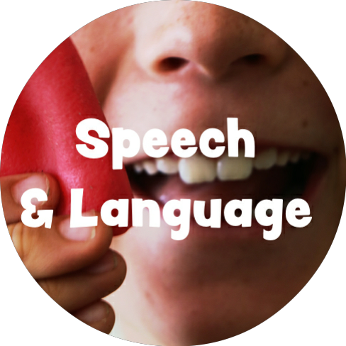 Speech and Language Therapy