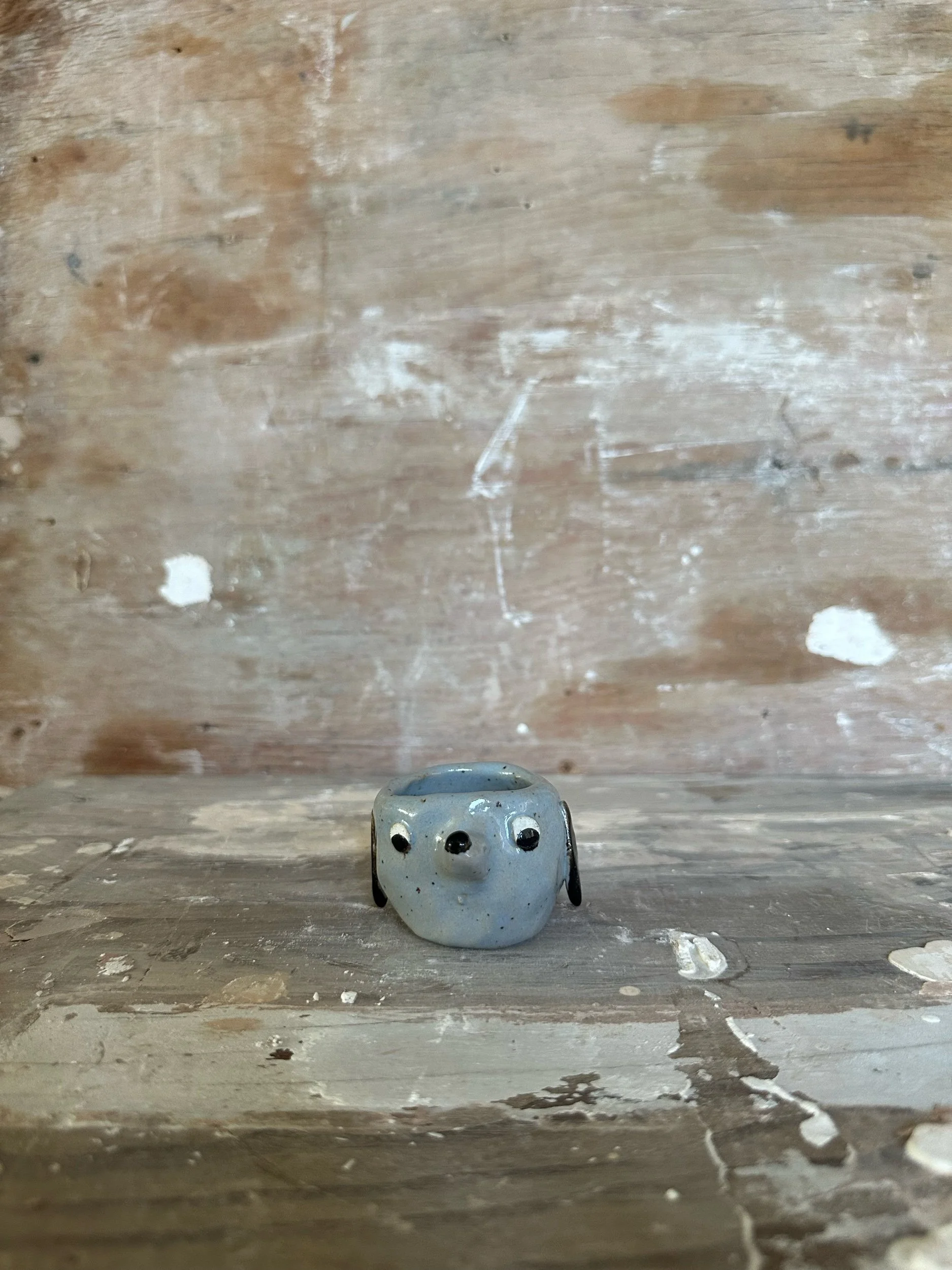 9577F00F-05B0-4052-966B-BB8E96DC1564.jpeg