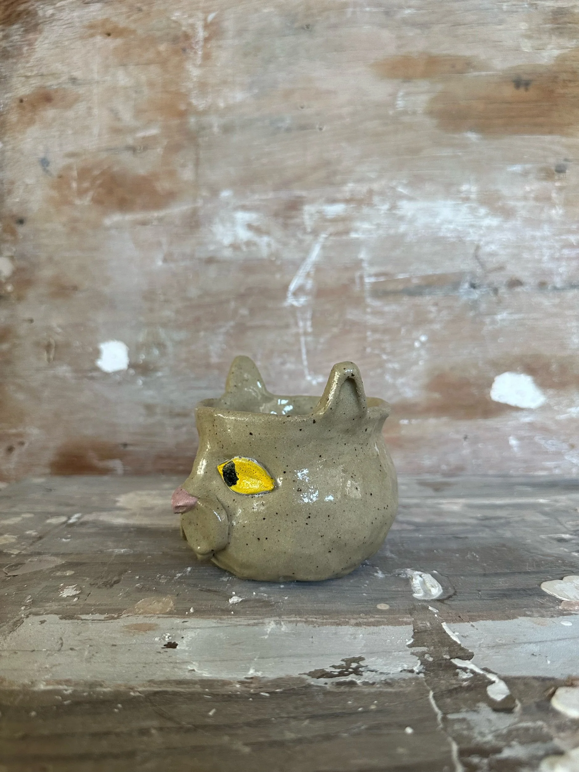 51E37CF6-A942-45D4-AFCE-745F30F9117C.jpeg