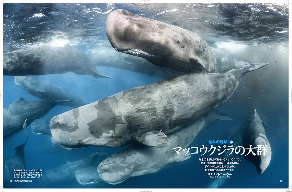 Opening double-page spread, Days Japan, February 2018, pp.58-63
