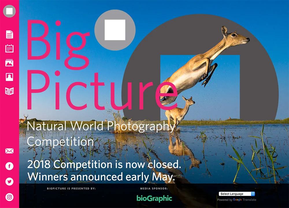 big-picture-photo-contest-2018.jpg