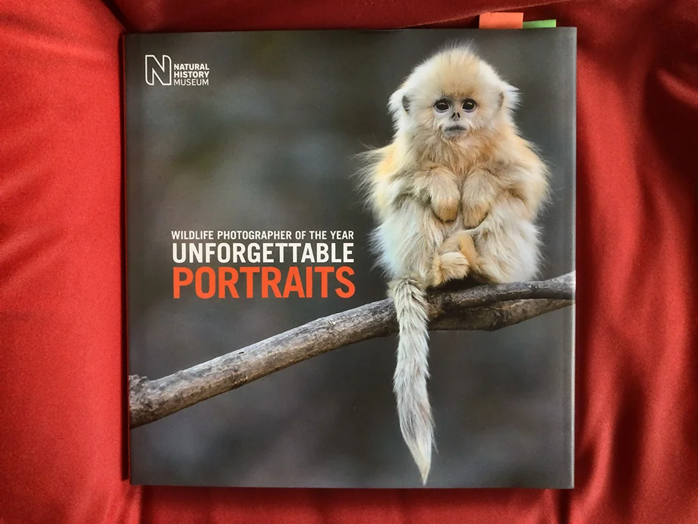 Unforgettable Portraits, collection of wildlife portraits