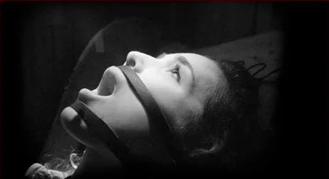 Urban Migration Music Video | Plush The Movie (2013)