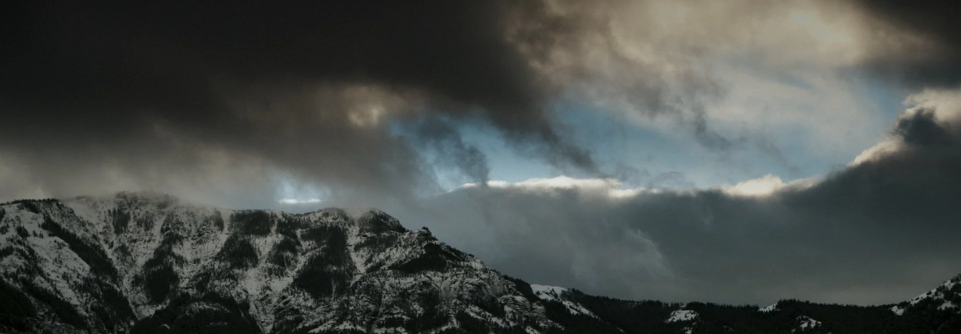 LastSurvivor_1.479.1.jpg