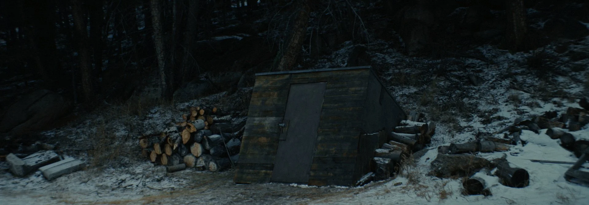LastSurvivor_1.929.1.jpg