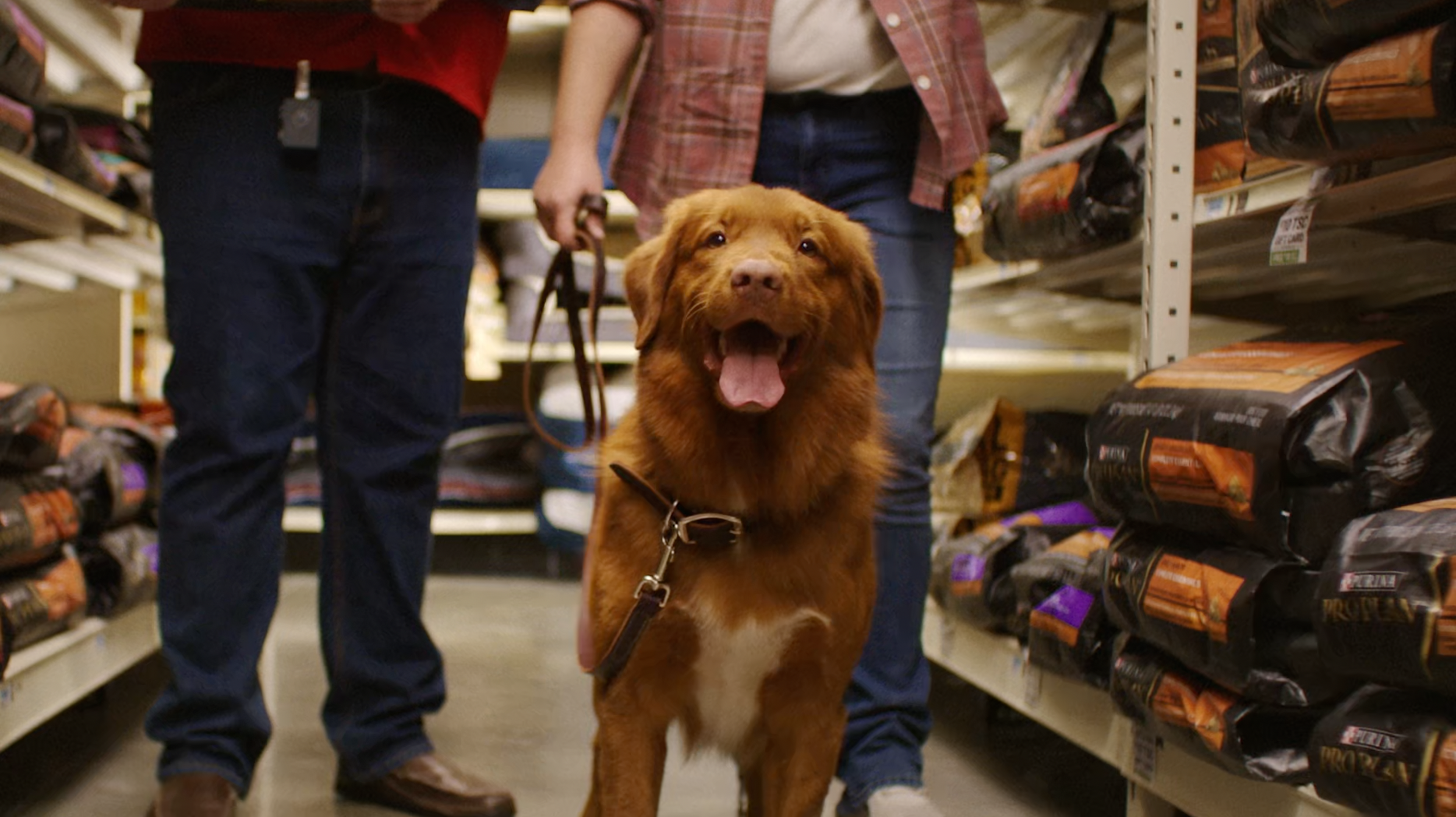 Purina Pro Plan - AnotherDay