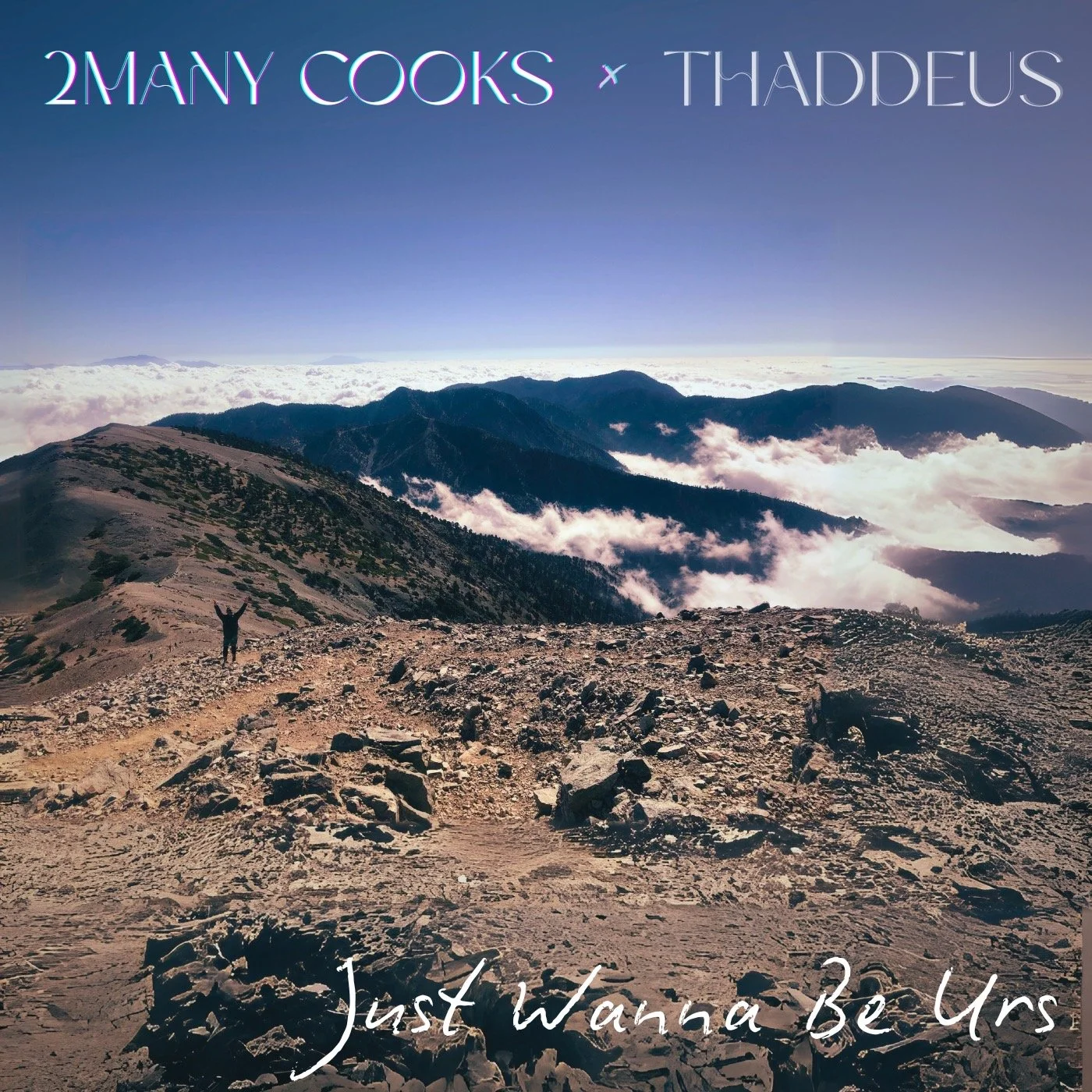 2Many Cooks, Thaddeus —&nbsp;Just Wanna Be Yrs