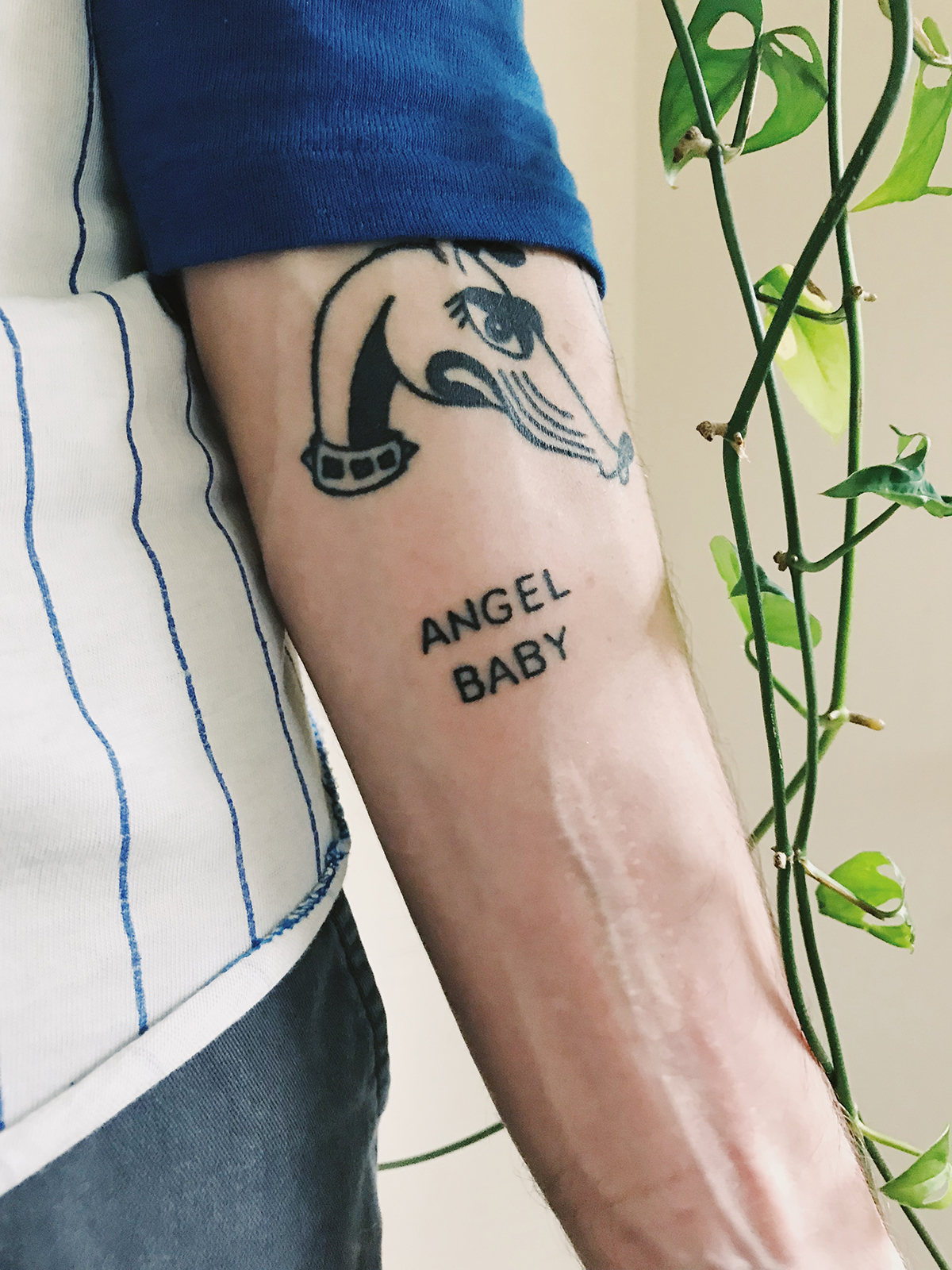 TAT42B8C739-B611-41DF-B8D5-BAA90072D1ED.jpg